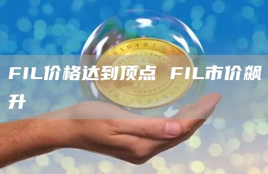 FIL价格达到顶点 FIL市价飙升